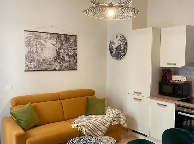 Magnifique Appartement Au Centre Ville Avec Parking Prive Et Gratuit Le Jardin Des Plantes