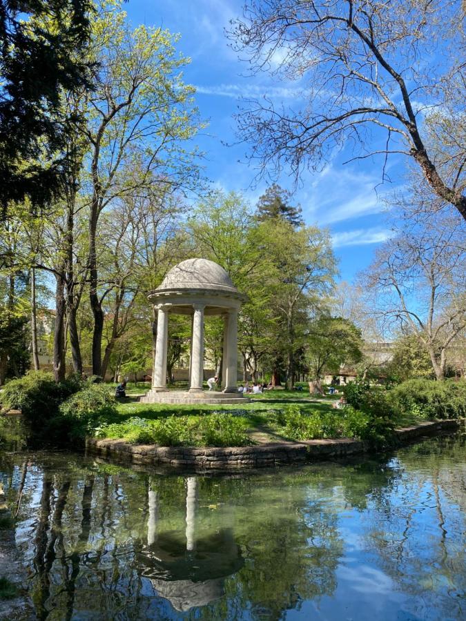 Appartement Magnifique Au Centre Avec Parking Prive Et Gratuit Le Jardin Des Plantes *