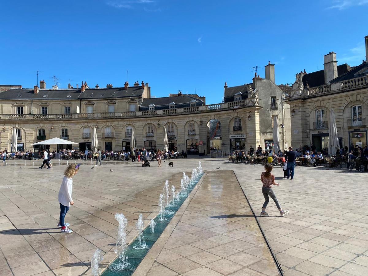 Appartement Magnifique Au Centre Avec Parking Prive Et Gratuit Le Jardin Des Plantes